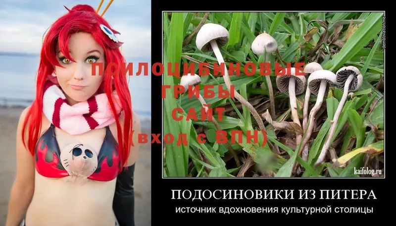 что такое наркотик  mega маркетплейс  Псилоцибиновые грибы Magic Shrooms  Сарапул 